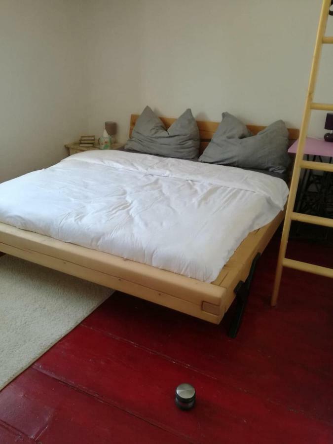 Apartman Alice 伊泽拉河畔亚布洛内茨 外观 照片