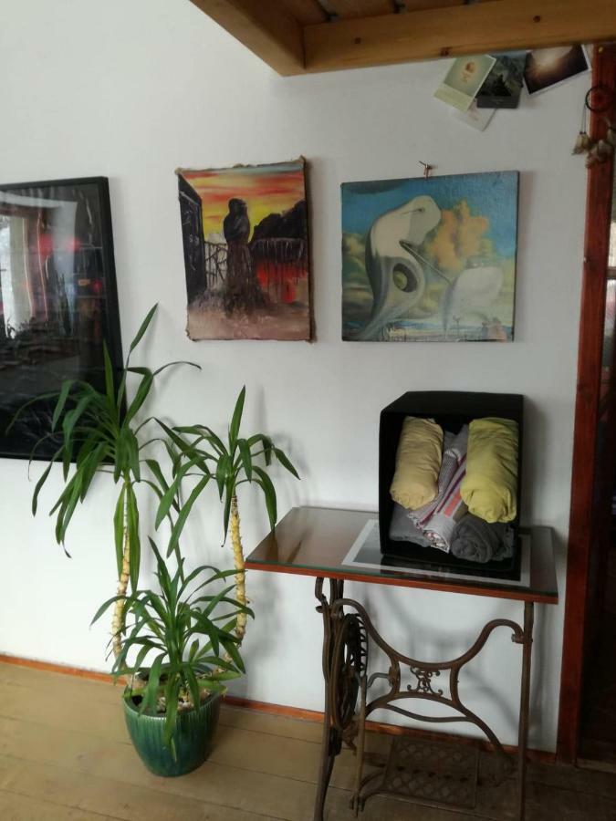 Apartman Alice 伊泽拉河畔亚布洛内茨 外观 照片